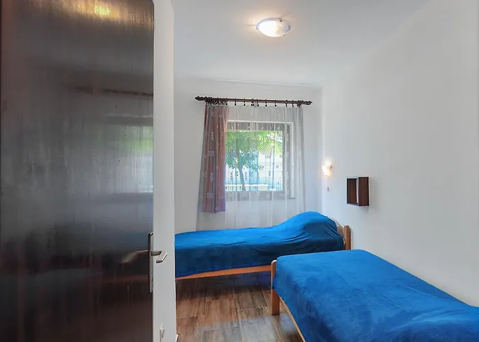 Vesna *